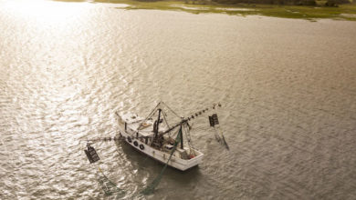 New Shrimp-Trawling Proposal Aims to Protect NC’s Juvenile Fish