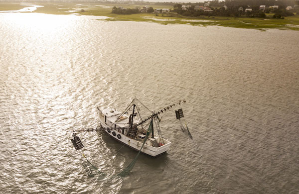 New Shrimp-Trawling Proposal Aims to Protect NC’s Juvenile Fish
