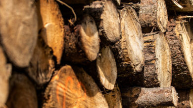 Scorecard Ranks US Retailers on Sustainably Produced Wood Furniture