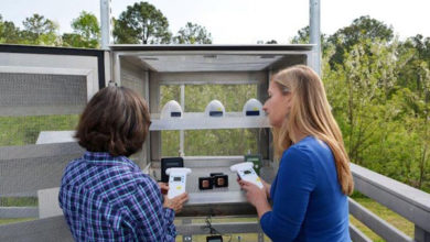 NC Asthma Cases Prompt Push for Hyperlocal Air Monitoring