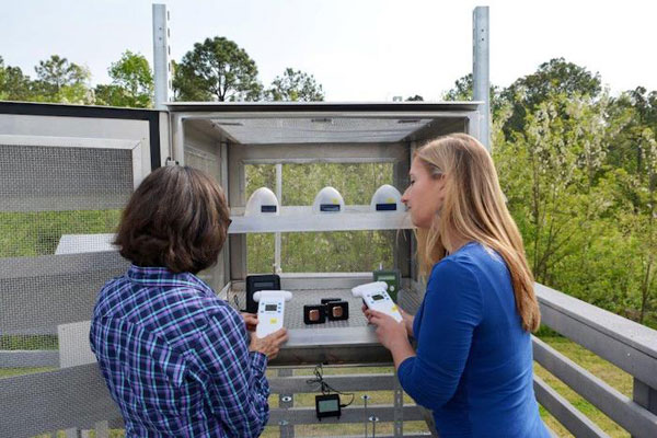 NC Asthma Cases Prompt Push for Hyperlocal Air Monitoring