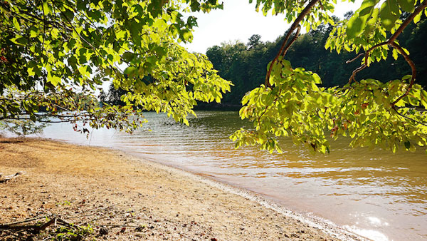 NC Mother Testifies to EPA on Health Effects of Coal Ash