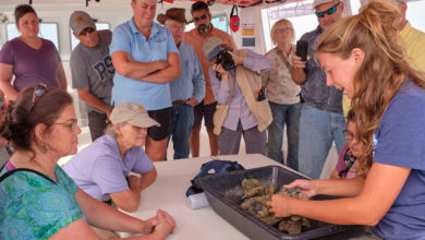 PA Farmers, Watermen Find Common Ground on Chesapeake Bay