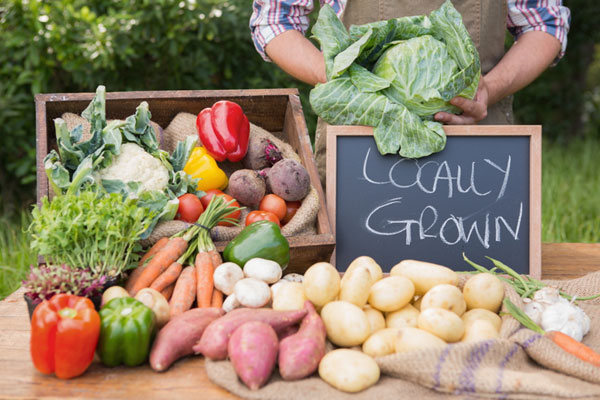 VA Lawmakers Asked to Back Fresh-Produce Program for SNAP Users